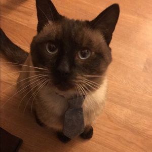 Meet your Posher, Julio